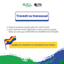 Pílula Mesário 15 - Travesti ou Transexual